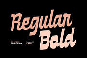 MN Jaybird - Bold Retro Script Font, a Script Font by Mantra Naga (Thumbnail 10 of 18)