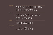 Weigeland Serif Font, a Serif Font by UICreative (Thumbnail 3 of 6)