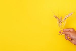 Female hand with yellow nail polish holding a crystal glass fill, a Food & Drink Photo by Ales Munt