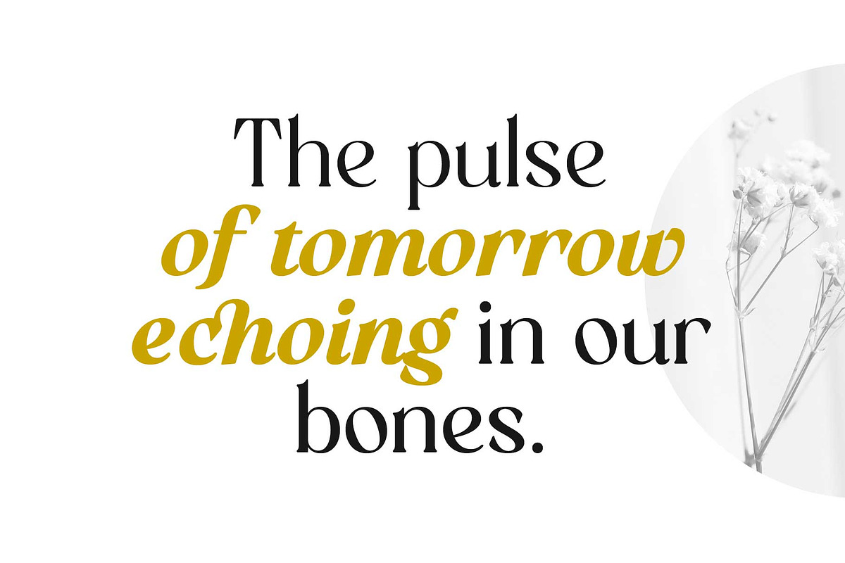 Randeta Olindra - Serif Family, a Serif Font by Novitype (Photo 8 of 13)
