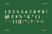 Montrielle Modern Editorial Font, a Serif Font by Rasio Studio (Thumbnail 3 of 9)