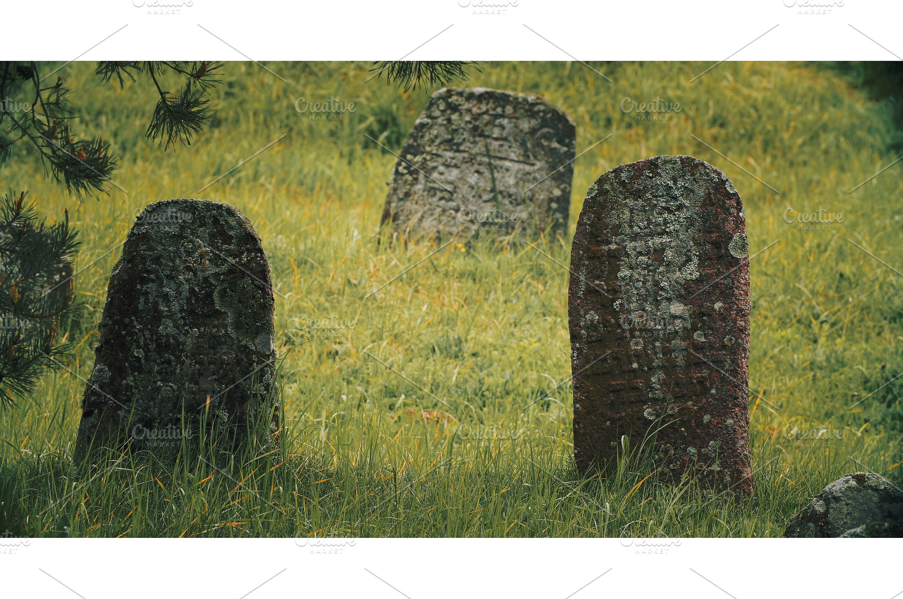 Old ancient Jewish cemetery in, an Architecture Photo by Our Amazing World