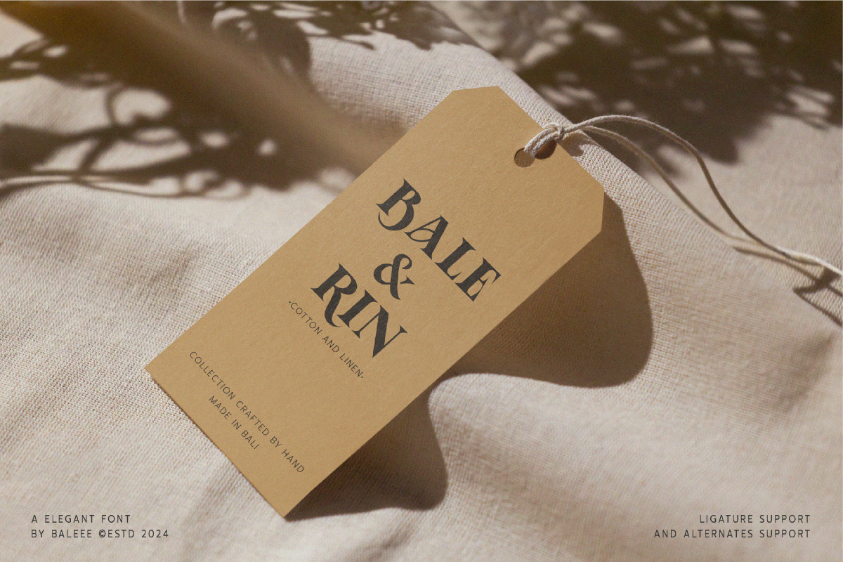Aporla - Elegant Slab Serif, a Slab Serif Font by Baleee (Photo 15 of 18)