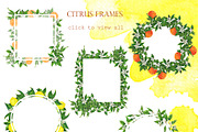 Watercolor citrus collection, a Food Illustration by Watercolor & sketches (Thumbnail 4 of 8)