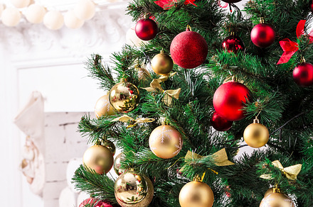 Christmas living room featuring tree, homely, and open