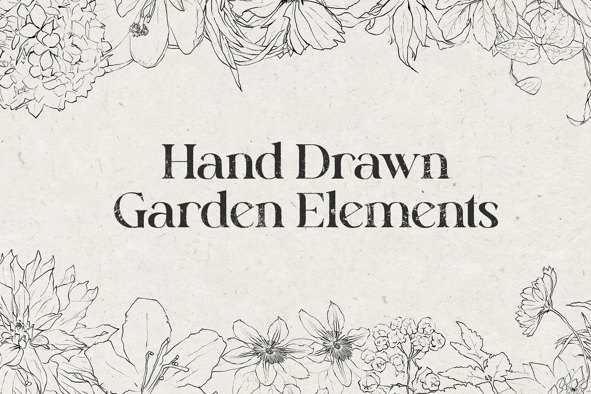 Pencil-drawn flowers, a Decorative Illustration by Damian Roh (Photo 4 of 21)