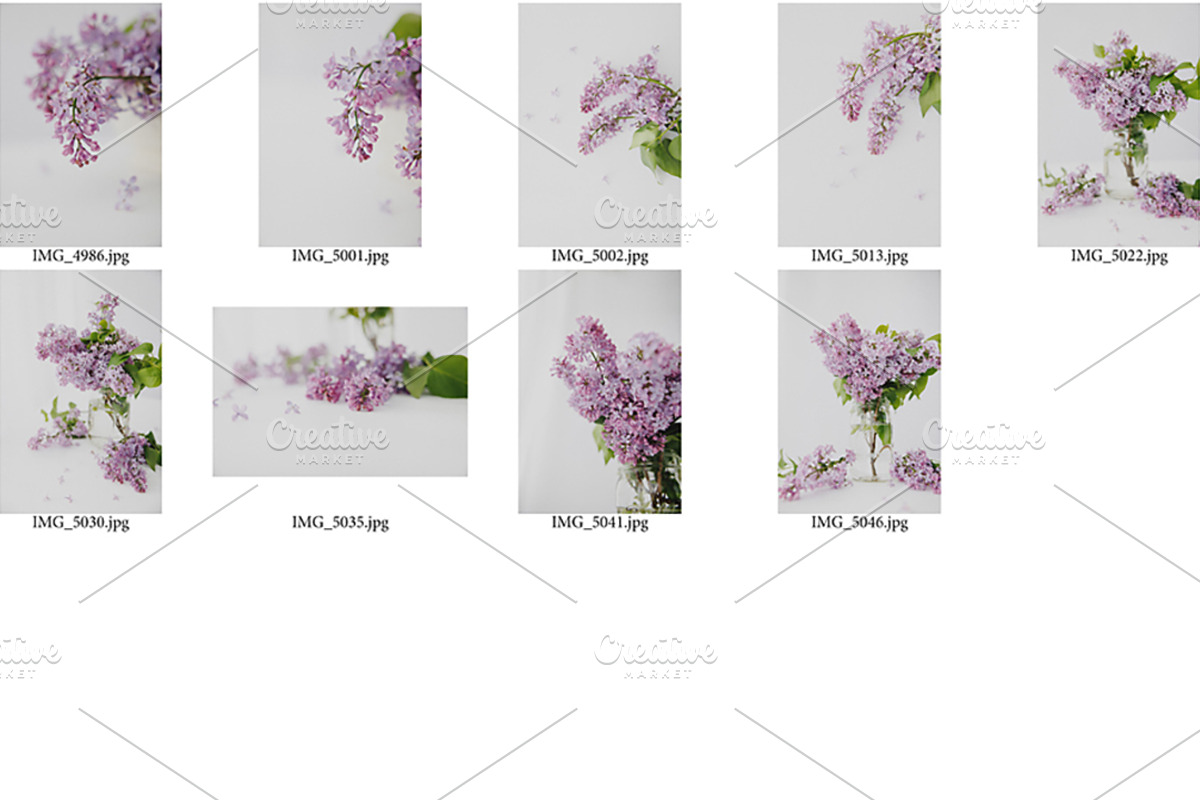 Minimalist Lilac Styled Stock, a Nature Photo by Susie Design Co (Photo 2 of 3)