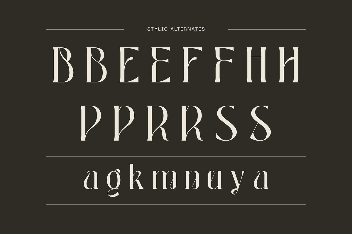 Luxury Logo Font - Bageki, a Serif Font by Nirmana Visual (Photo 5 of 9)