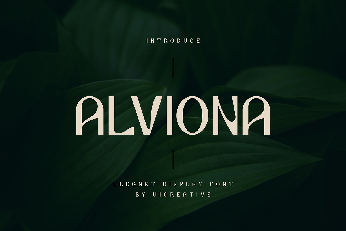 Alviona Modern Serif Font, a Serif Font by UICreative (Photo 1 of 12)