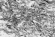 Scales and Fur, a Texture Graphic by Jennifer Lauren Creative (Thumbnail 24 of 26)