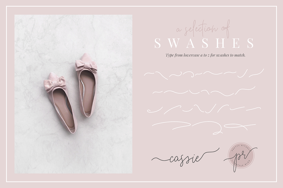 Beauty Notes Script + Illustrations preview 7