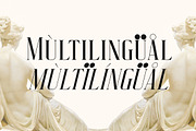 Velazquez Modern Serif Font, a Serif Font by Storytype Studio (Thumbnail 12 of 15)