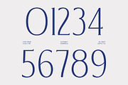 CS Blythe – Stylish Serif Font, a Serif Font by Craft Supply Co. (Thumbnail 5 of 8)