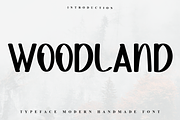 Woodland, a Sans Serif Font by InermediaSTUDIO (Thumbnail 1 of 7)