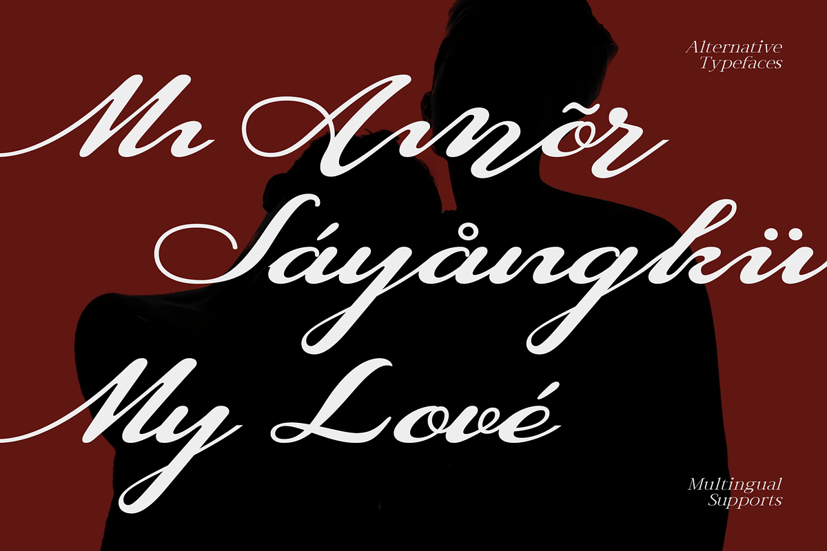 CF Lovina - Beautiful Elegant Script, a Script Font by Indotype Foundry (Photo 4 of 10)