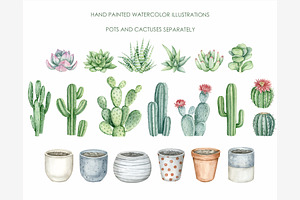 Watercolor Cactus Clipart