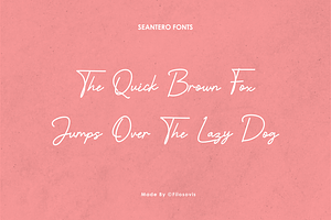 Seantero Modern Script Font