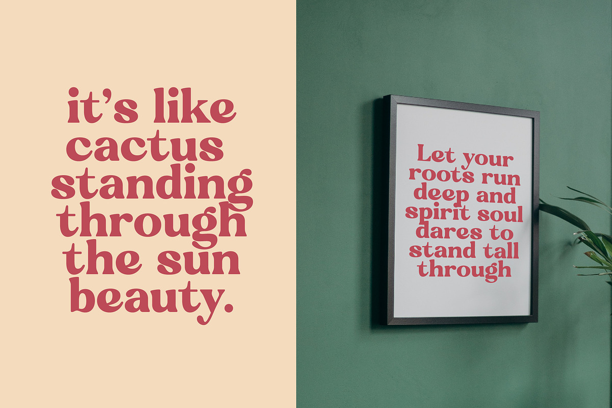 Regina Bonita Modern Retro Serif, a Serif Font by timelesstype.co (Photo 16 of 20)