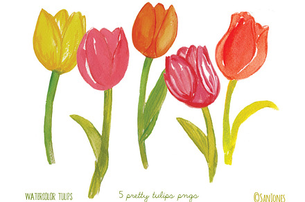 Watercolor Tulips
