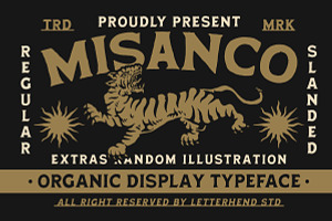 Misanco Organic Display Font, a Serif Font by Letterhend Studio