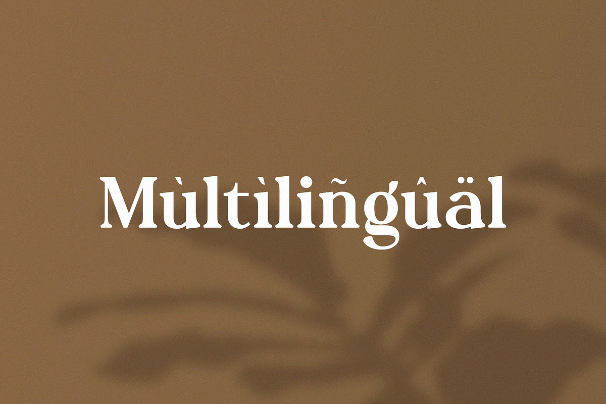 Molnica – Stylish Modern Serif Font, a Serif Font by BrandSemut (Photo 7 of 8)