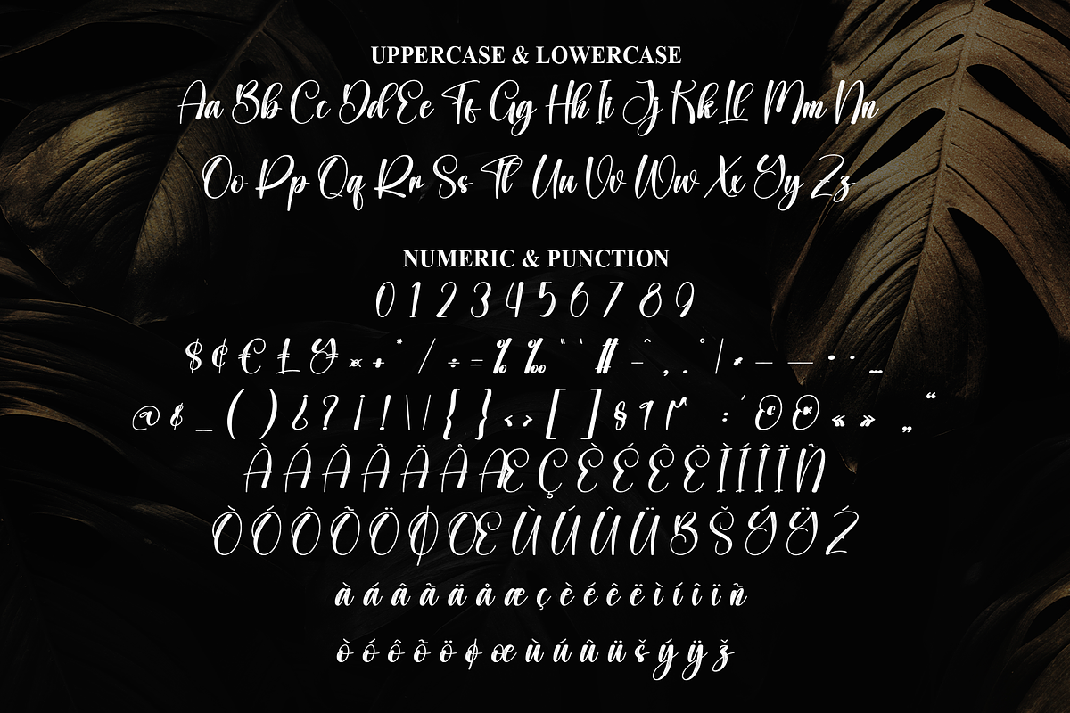 Simplicity | Script Font, a Handwritten Font by Scratchones (Photo 6 of 8)