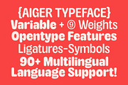TNSC Aiger -  Rounded Sans, a Sans Serif Font by The Native Saint Club (Thumbnail 3 of 14)