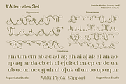 Dalnite - Modern Luxury Font, a Serif Font by RagamKata (Thumbnail 11 of 11)