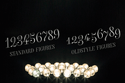Bluebell - 6 fonts -Sale, a Script Font by Fenotype (Thumbnail 9 of 9)
