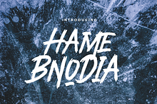 Hame Bnodia Brush Font