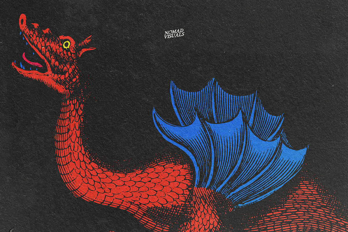 Snakes Dragons An Animal Illustration By Nomad Visuals