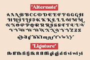 Mountain Daisy - Stylish Serif, a Serif Font by Myn Type (Thumbnail 11 of 11)