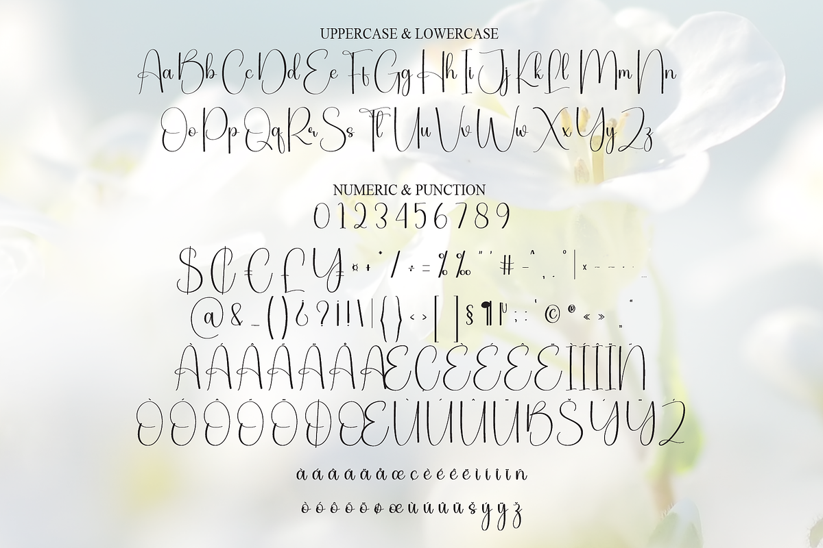 Magnolia | Script Font, a Handwritten Font by Scratchones
