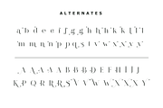 Pelagic Bird - Unique Ligature Font, a Serif Font by Yahya Type (Thumbnail 19 of 22)