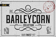 Barleycorn Typeface, a Serif Font by Dene Studios (Thumbnail 1 of 7)