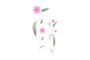 Watercolor pink flowers and green, a Texture Illustration by okskukuruza