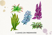 Amazon Fishing Watercolor, an Illustration by Graphobia (Thumbnail 4 of 11)