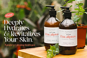 Rosaline Modern Retro Font, a Serif Font by Vampstudio (Thumbnail 3 of 13)
