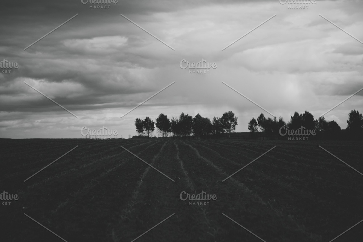 Mood collection, a Photo by Alekseyliss (Photo 5 of 21)