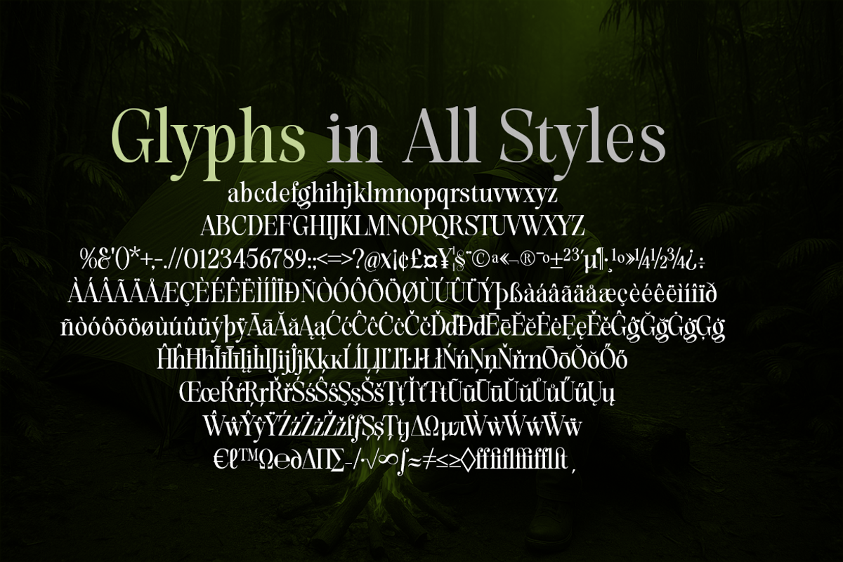 Evolve Early Serif Font Family, a Serif Font by groens (Photo 7 of 15)