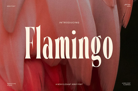 Flamingo Elegant Serif Font, a Serif Font by Perfectype