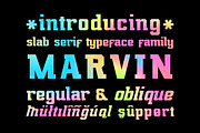 Marvin regular & oblique, a Slab Serif Font by NREY (Thumbnail 1 of 4)