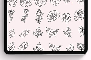 Procreate Roses Stamps