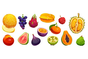 Cartoon tropical ripe raw fruits, a Food Illustration by Vector Tradition