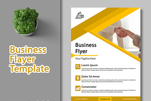 Business Flayer Template, a Flyer Template by As Studio