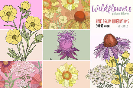 Wildflowers Clipart Flower Graphics
