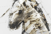 Geometric Dispersion FX - PS Plugin, a Plug-in Add-On by Giallo (Thumbnail 8 of 11)
