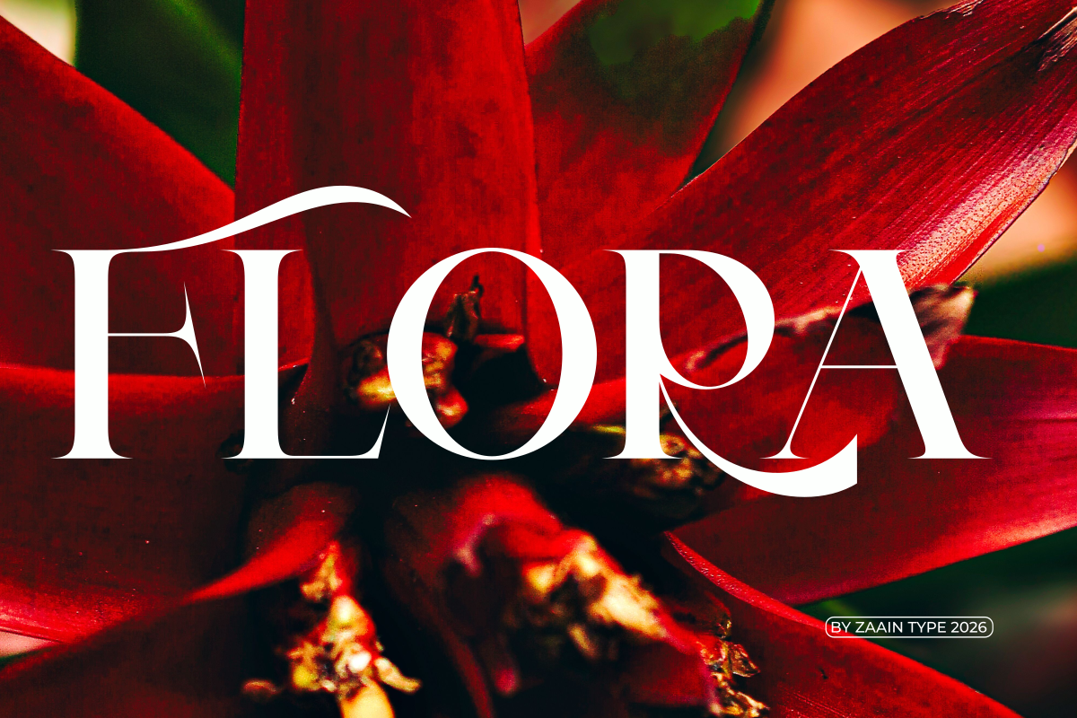 Clucks, a Serif Font by zaaintype (Photo 3 of 10)