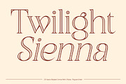 CS Asena Stippled, a Serif Font by Craft Supply Co. (Thumbnail 3 of 8)