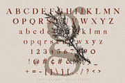 Juniper Vintage Serif Font, a Serif Font by Craft Graphic Type (Thumbnail 6 of 6)